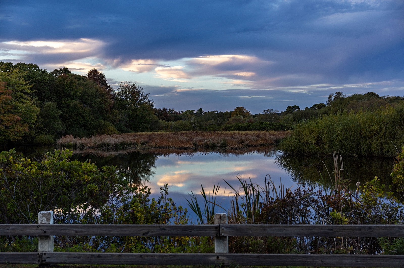 The Mill Pond is man-made and has been in West Tisbury for hundreds of years.