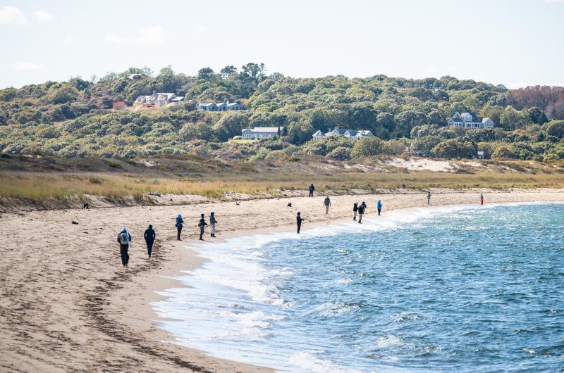 The lineup at Lobsterville Beach.