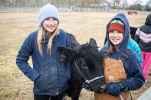 Leona Maloney and Juniper Begin with their bridled cows.